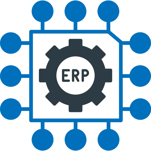 Enterprise Systems